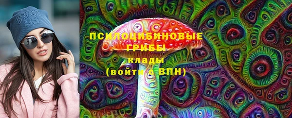 СК Волосово