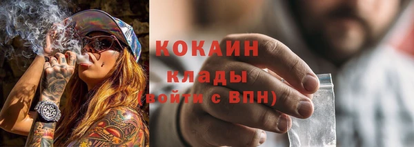 СК Волосово