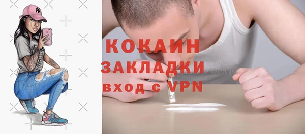 дурь Гусев