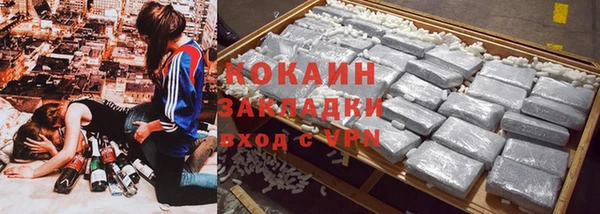 СК Волосово